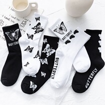 5 Pairs Pack Women Socks Cotton Cute Cartoon Fruit Harajuku
