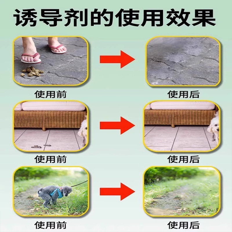 🐾 宠物主必备!乐宠狗狗定点排便神器解决乱拉屎尿问题 🐶-狗厕所-淘宝好物网
