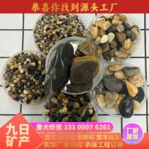 Shandong Doushi Wholesale Floor Heating Backfill Stone Filtration Water Treatment Filter Material Potted Stone Fish Tank Landscaping