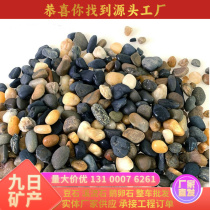 Anhui Doushi Wholesale Floor Heating Backfill Stone Filtration Water Treatment Filter Material Potted Stone Fish Tank Landscaping