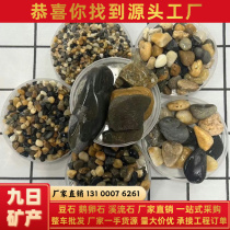 四川豆石批发地暖回填石头过滤水处理滤料盆栽石子鱼缸造景