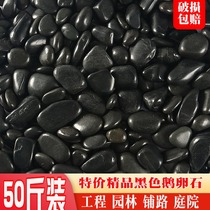 Guangdong black pebbles black stones courtyard paving black stone landscaping decoration gardening size pebbles