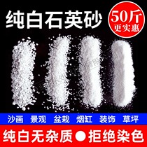 Beijing white sand landscaping quartz sand fish tank bottom sand fine sand trash can ashtray playground micro landscape pure white