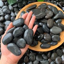 Tianjin black pebbles size black stone courtyard paving paving garden landscaping Yuhua stone raw stone cobblestone