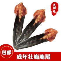 Jilin sika deer dried deer tail whole deer tail soaked in wine Chinese medicinal materials dried deer whip deer heart deer tendon nourishing slices