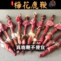 Deer penis whole root special medicinal materials soaked in wine for men to nourish and maintain Jilin sika deer penis and antler soaked in wine paste pills and kidneys