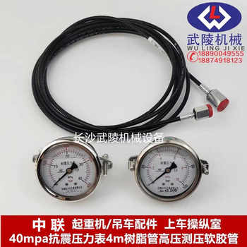 Zoomlion Crane Accessories On-Board Control Room 40Mpa Anti-Vibration Pressure Gauge 4m Resin Pipe High-Pressure Pressure Measuring Flexible Hose