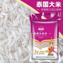Pinguan Dietary Thai Fragrant Rice 20kg Thai Raw Grain Imported Jasmine Rice Vacuum Packaging Thai Grain Rice