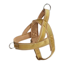 Rottweiler special leash dog large dog harness vest collar horse dog golden retriever Labrador collar