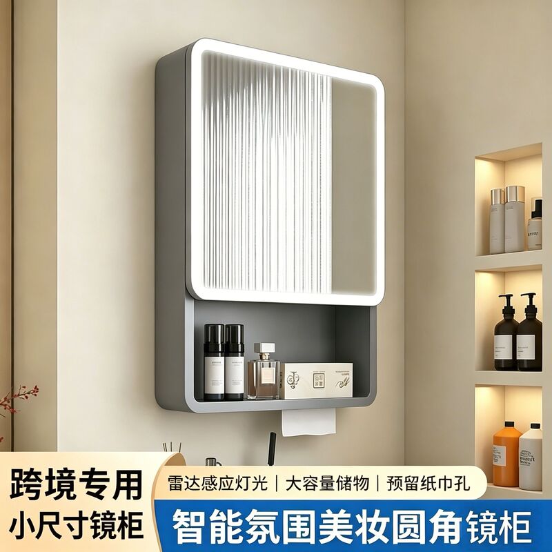 (Factory Direct Delivery) 4050cm Small Size Smart Bathroom Vanity Mirror Cabinet with Sensor Light and Storage Mirror for the Bathroom