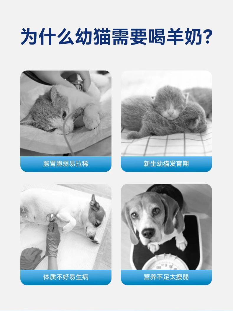 Кошка молоко 小冻宠物羊奶粉猫咪专用幼猫小奶猫成猫产后补钙补营养奶糕0乳糖