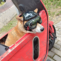 Dog Helmet Pet Golden Retriever Dog Goggles Helmet New Motorcycle Leakable Ear Safety Hat