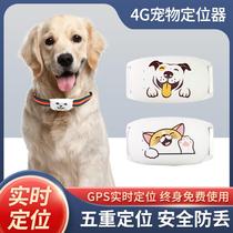 German imported quality 4G pet locator Beidou GPS cat and dog positioning collar anti-lost instrument tracking