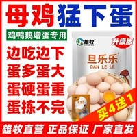 1 мешок яиц яростно снесённый【Данлеле】Курица яростно несёт яйца