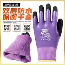 Direct selling Chuangxin 798 womens velvet warm waterproof labor protection gloves dipped in rubber wear-resistant thickened anti-cut gloves