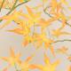 Simulated green plants, maples, fake green plants, potted plants, indoor living room floor decoration, garden landscaping, simulated plants