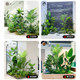 Simulated Green Plants, Bamboo Landscaping Combination, High-End Light Luxury Artificial Plants, Staircase Artificial Trees, Shopping Mall Window Artificial Bamboo Potted Plants