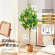 Artificial Lemon Tree Indoor Living Room Floor-Standing Potted Plant Decoration Artificial Green Plant Nordic Style Decorative Fake Tree Plant