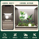 Simulated Plant Landscaping Balcony Landscape Arrangement Window Display under Stairs Artificial Flower Tree Decoration Bionic Green Plant Combination Set