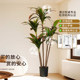 Artificial Green Plant with Small Leaves and Red Edges, High-End Luxury Indoor Potted Plant, Fake Tree for Living Room, Floor-Standing Artificial Plant Decoration
