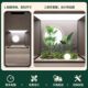 Simulated Green Plant Landscaping Combination Set Shopping Mall Indoor Bionic Fake Plant under Stairs Landscape Fake Tree Decorative Ornaments