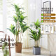Artificial Plant Brazilian Wood Indoor Living Room Decoration Large Floor-Standing Green Plant Tropical Fake Plant Artificial Green Plant Potted Plant