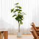 High-End Light Luxury Artificial Green Plant Heart-Shaped Leaf Banyan Indoor Living Room Floor-Standing Fake Plant Heart-Shaped Banyan Wabi-Sabi Style Decoration