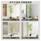 Simulated plant Nandina floor-standing potted indoor large artificial flowers bionic green plant ornaments living room decorative flowers artificial trees