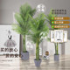 Simulated Green Palm Tree, Large High-End Floor-Standing Bonsai for Indoor Living Room, Artificial Plant Tree for Landscaping Decoration