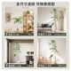 Jacaranda Artificial Green Plant Indoor Living Room Large Potted Fake Tree Plant Faux Plant Light Luxury Floor-Standing Plant Landscaping