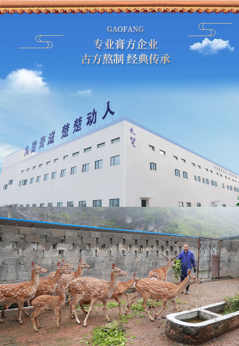 小产后小月子人流后调理补品小月子水子宫恶露营养品修复护理恢复 — 28