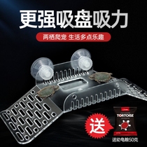 Turtle basking platform turtle platform climbing turtle basking platform climbing platform floating platform floating island climbing ladder aquarium landscaping Brazilian turtle basking platform