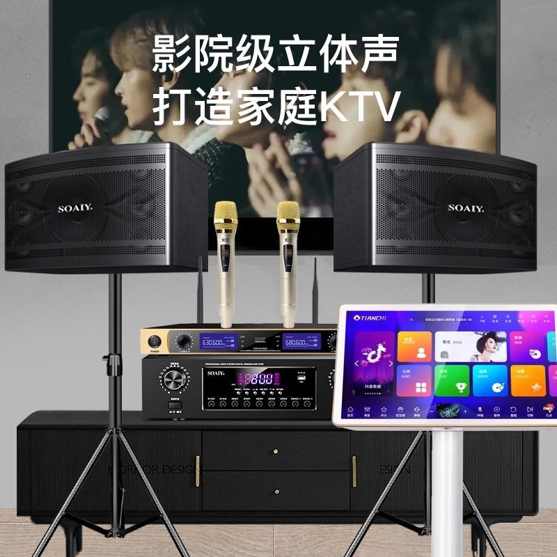Sony Ericsson home theater KTV audio set 10-inch home commercial conference equipment karaoke amplifier