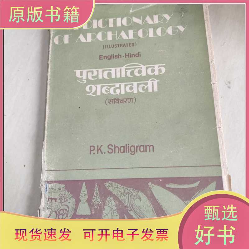 A Dictionary of Archaeology (Archaeology Dictionary) English Original Version/Pk Shaligr