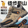 Paul Camel Men's Shoes 2025 Summer New Outdoor Non-Slip Wear-Resistant Hiking Shoes Summer Soft-Soled Walking Travel Shoes