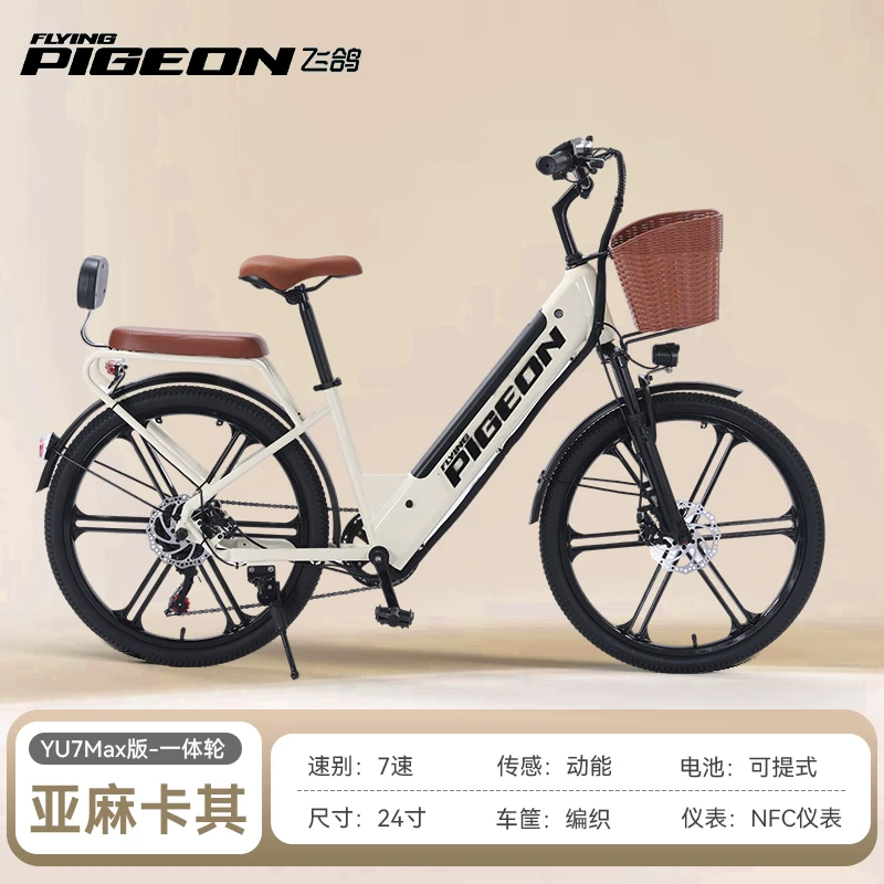Electric bike