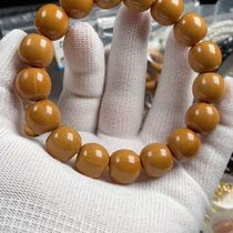 146 fine dragon flame material Hericium old type