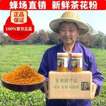 Natural Camellia Pollen Fresh Bee Pollen Pure Unbroken Edible Camellia Pollen 500g Women