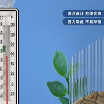 Jingbao’s Turtle Thermometer