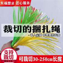 Non-refundable and non-exchangeable customized strapping rope plastic rope packing rope packaging rope can be cut from 0cm-250cm