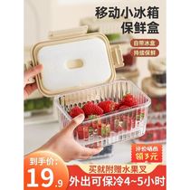 Fresh box comes with ice box mobile small refrigerator cold box food grade portable out-going ice tray refrigerated box sealed box