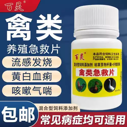 Квадратная курица квадрат курица лучшая чума специальная эффект Ducky Goose Birds и звездный течет холодный настоящий дискребленный активный активный