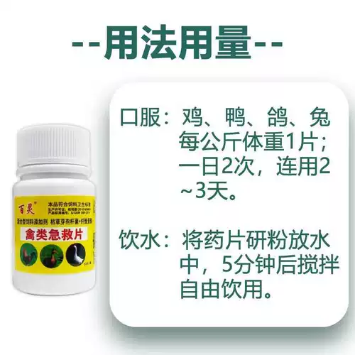 Квадратная курица квадрат курица лучшая чума специальная эффект Ducky Goose Birds и звездный течет холодный настоящий дискребленный активный активный