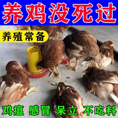 Квадратная курица квадрат курица лучшая чума специальная эффект Ducky Goose Birds и звездный течет холодный настоящий дискребленный активный активный