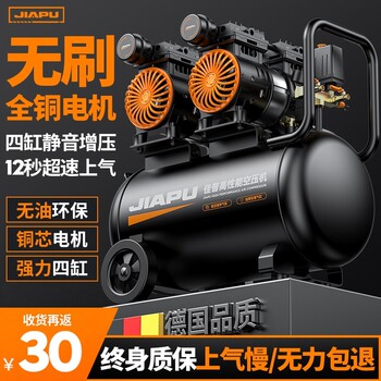 Air Compressor Inflator Small 220V Air Pump Industrial Grade Oil-Free Woodworking Silent Portable Air Compressor