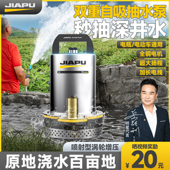 12V Dc Submersible Pump 48V60V72V Battery Household Electric Vehicle Small Water Pump Agricultural Irrigation Water Pump