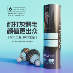 Antarctic Wind Pr100 Goose Feather Badminton Durable King Flight Stable Indoor and Outdoor Professional Competition Training Set