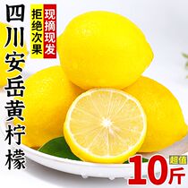 Sichuan Anyue yellow lemon fresh fruit with thin skin seasonal whole box selection perfume sweet green lemon small kumquat specialty