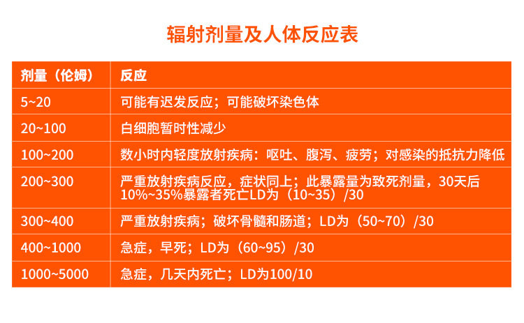 Детектор радиации 核辐射检测仪核污染海鲜食品放射性盖革格计数器测试仪报警仪家用