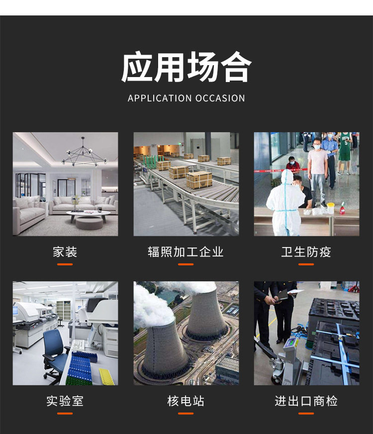 Детектор радиации 核辐射检测仪核污染海鲜食品放射性盖革格计数器测试仪报警仪家用